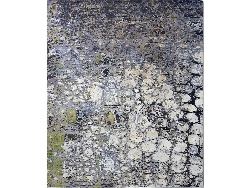 SKIN - cm 300 x 250 